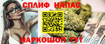 стаф Будённовск