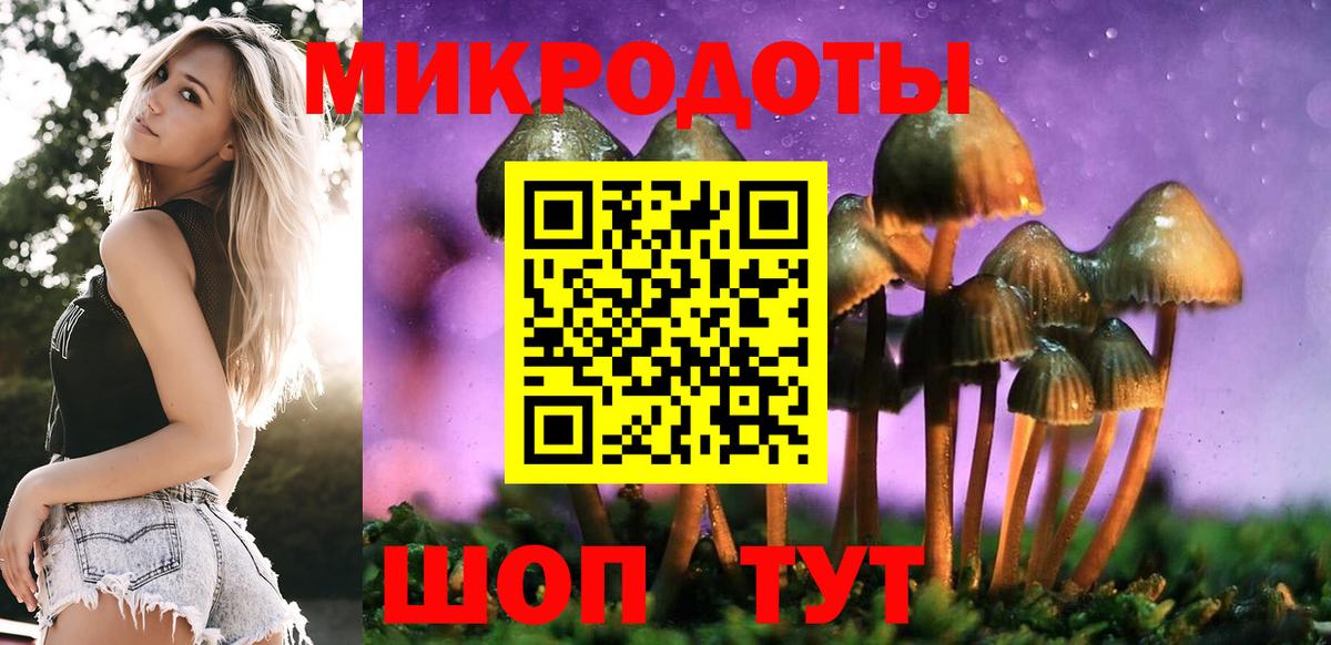 Псилоцибиновые грибы GOLDEN TEACHER Заинск