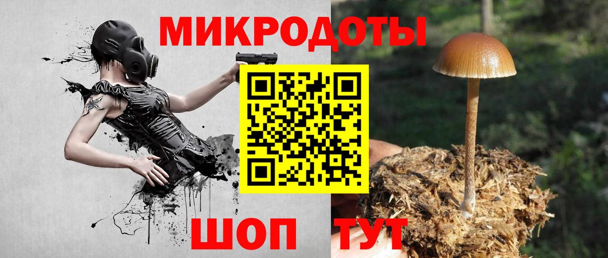 Псилоцибиновые грибы мухоморы  Псилоцибиновые грибы GOLDEN TEACHER  наркотики  Вход с VPN  Заинск 